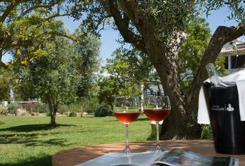 Hotel, Masseria Zanzara