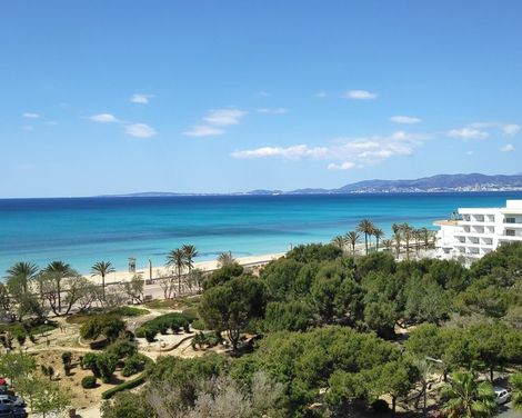 Hotel y Apartamentos Leman-1