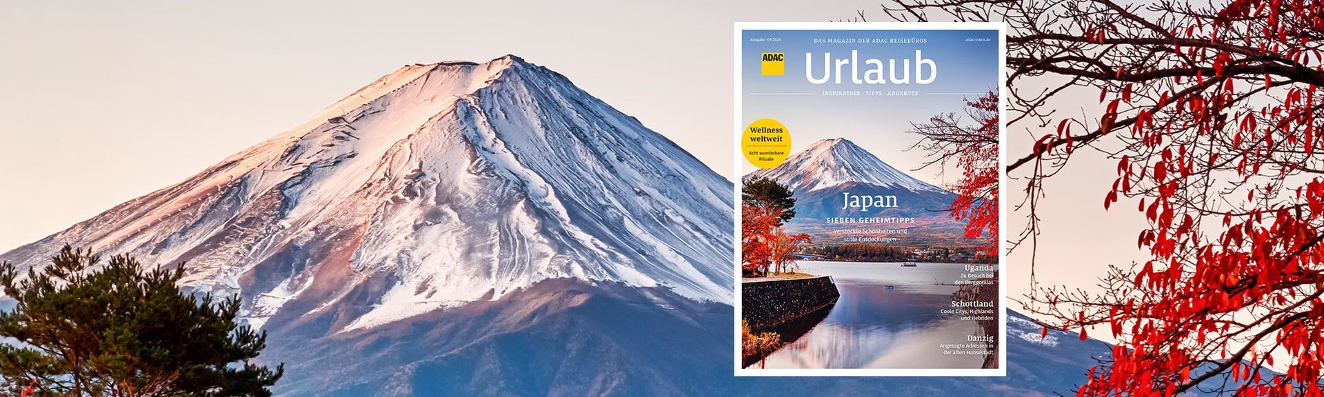 Blick auf schneebedeckten Berg in Japan