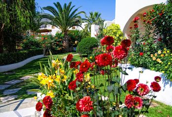 Hotel, Papadakis Apartments