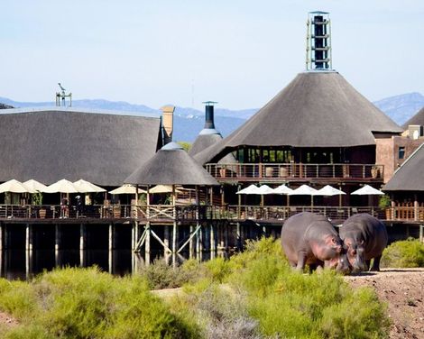 Buffelsdrift Game Lodge-3
