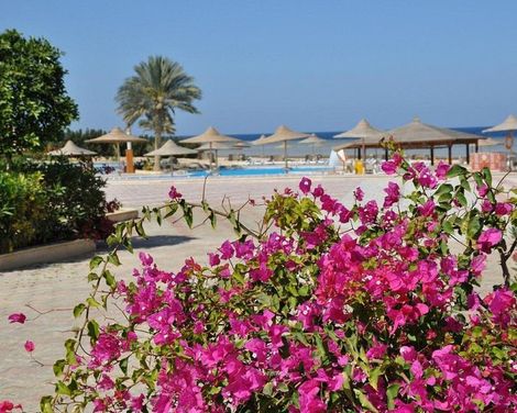 Shoni Bay-0