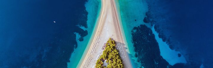 Ein Taucher unter Wasser mit Fischen.