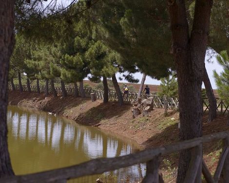 Popilia Country Resort-4