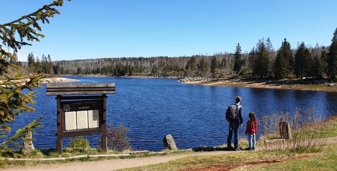 Vater mit Kind wandert am Oderteich im Harz