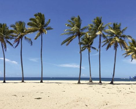 Emotions by Hodelpa Puerto Plata-2