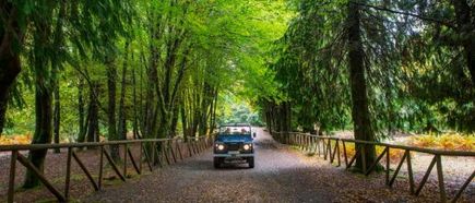 Unterwegs mit dem Mietwagen auf Madeira