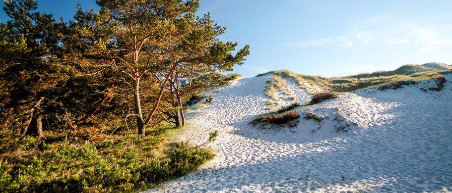 Ferienhaus Urlaub Dänemark Sandige Dünen auf Bornholm
