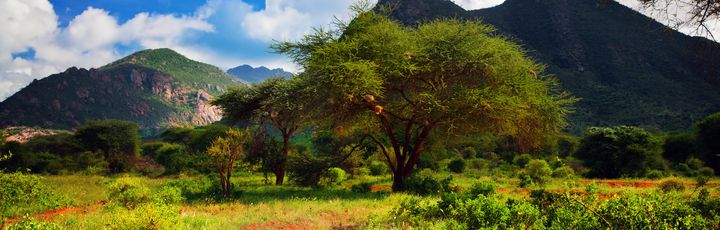 Rot gefärbte Sandstraße im Tsavo West, Kenya