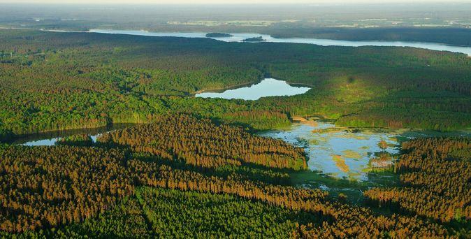 Masurische Seenplatte. Flache weite Waldlandschaft, in welcher viele kleine Seen abgebildet sind. 