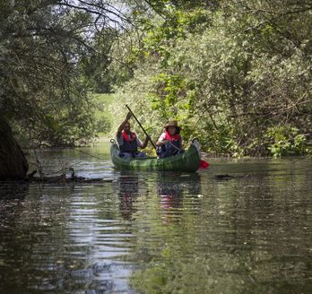 Ein See oder Fluss, umgeben von Bäumen und einem Boot.