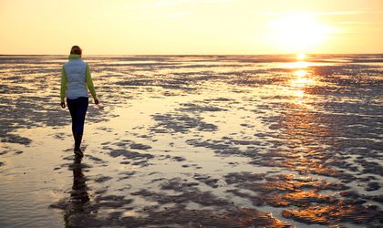 Wattenmeer Nordseekueste