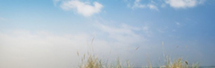 Eine Möwe fliegt über den Strand.