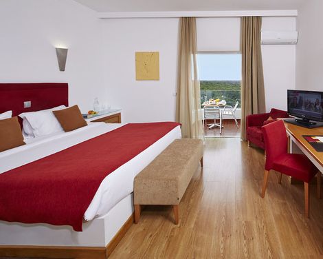 Alcazar Hotel & SPA-4