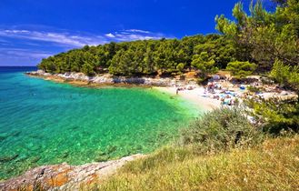 Ein Sandstrand mit türkisblauem Wasser und grüner Vegetation.