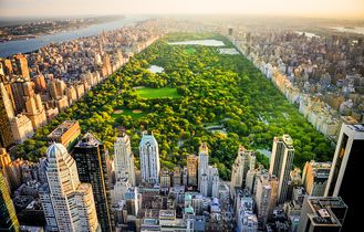 New York 