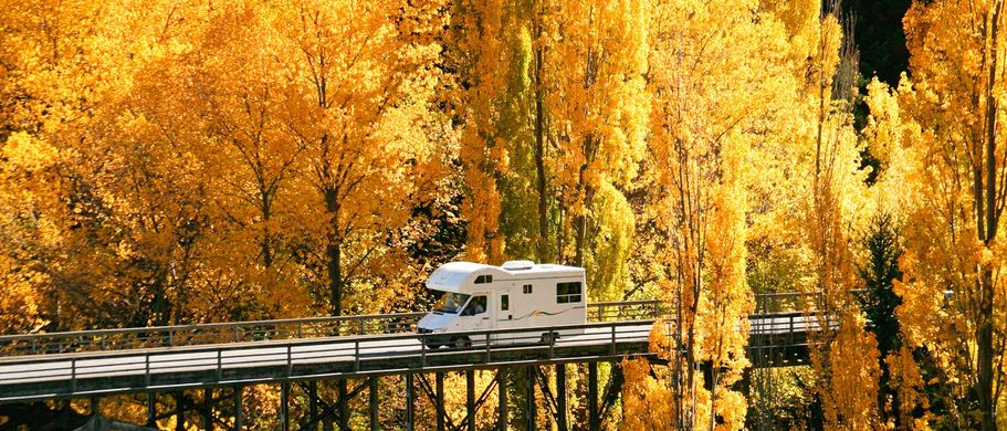 Camper Neuseeland Urlaub Reisen Wohnmobil auf Brücke zwischen Bäumen