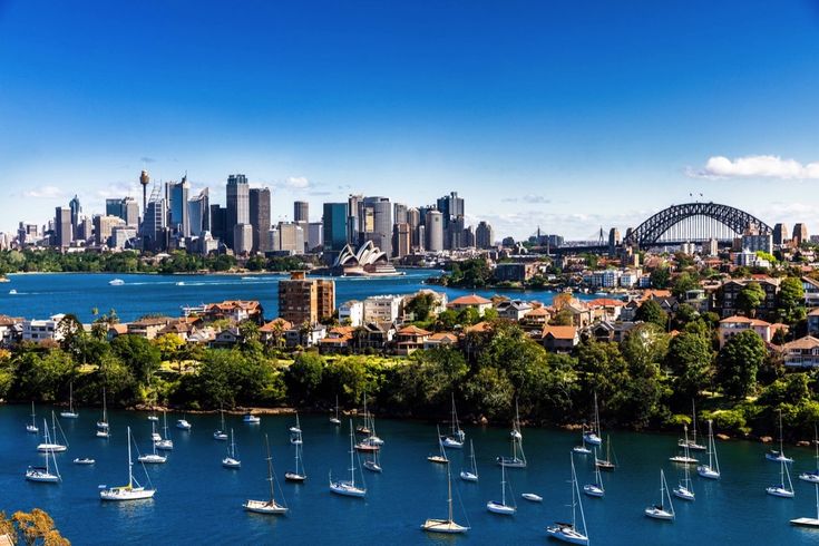 Blick auf Sydney mit vielen Booten und Skyline im Hintergrund 