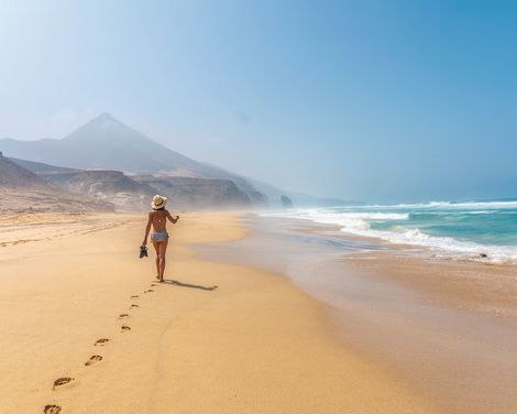 Fergus Cactus Garden-4