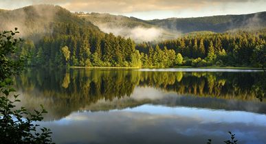 Hotels Harz