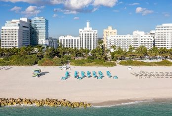 Hotel, The Palms Hotel & Spa