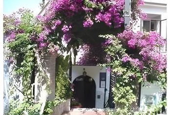 Hotel, Hotel Condor