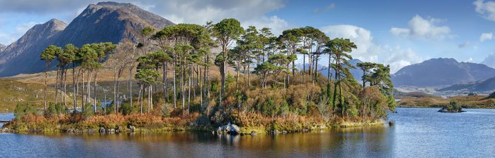 Connemara Urlaub