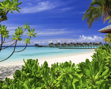 Centara Ras Fushi Resort & Spa Maldives-4