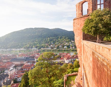 Blick vom Schloss über die Altstadt
