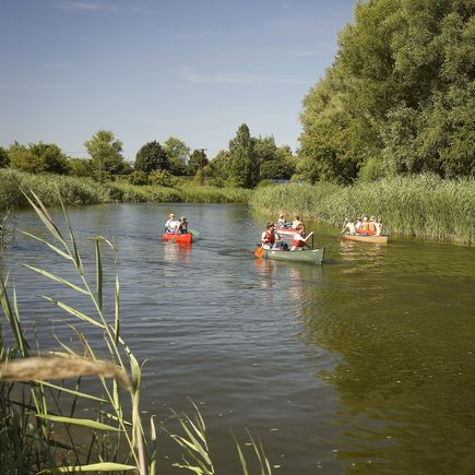 Zahlreiche Wasserstraßen rund um die Müritz laden zum Paddeln ein
