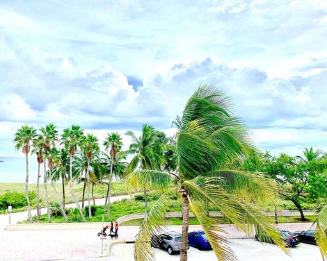 The Broadmoor Miami Beach-4