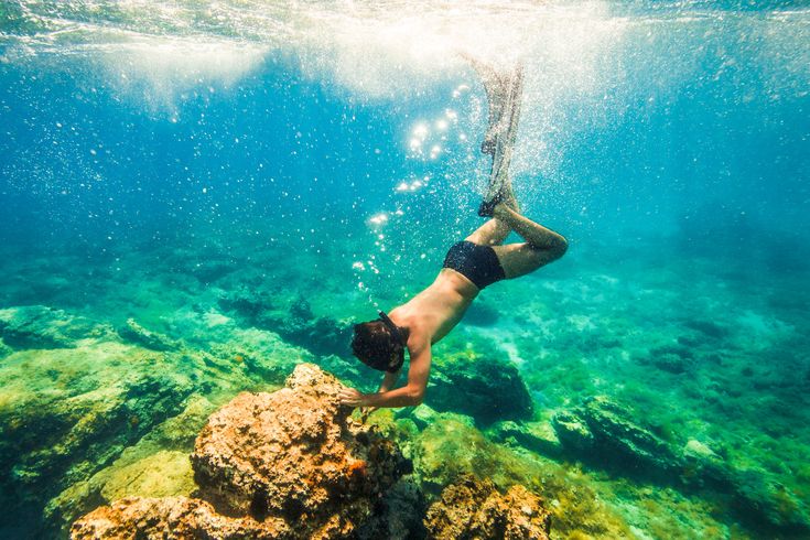 Ein Taucher unter Wasser mit Fischen.