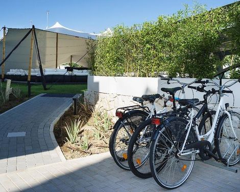 Costa del Sol Hotel-4