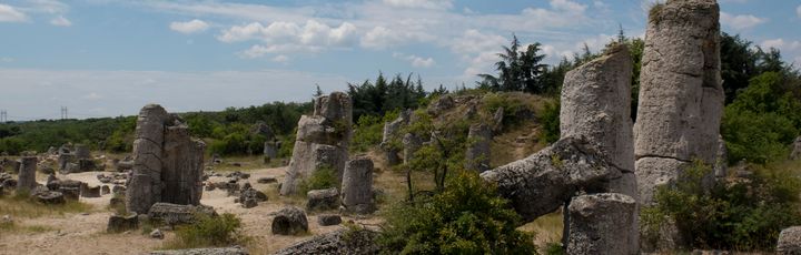 Blick auf ein Steinfeld im Gras.