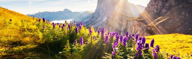 Oesterreich Natur