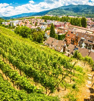 Wanderurlaub und Weinrouten Urlaub Deutschland Weinberg