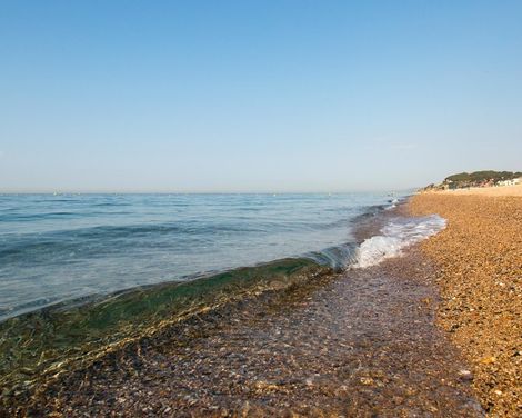 htop Amaika Adults Only-0