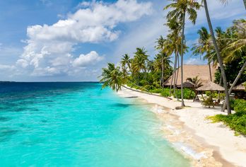 Hotel, Reethi Faru Resort