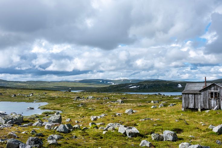 Blick über Hardangervidda. Raue Weidelandschaft mit vielen großen Felsen/Steinen und Blick auf das Meer.