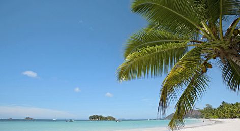Paradise Sun Hotel