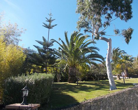 La Palma Romantica-0