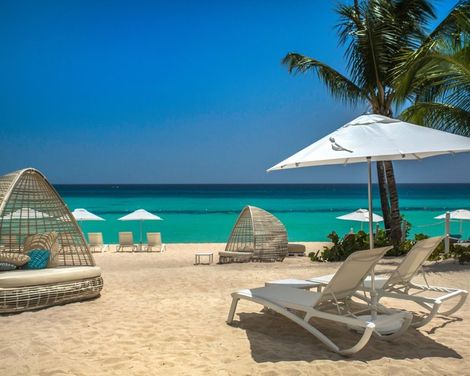Catalonia Royal La Romana - Adults Only-1