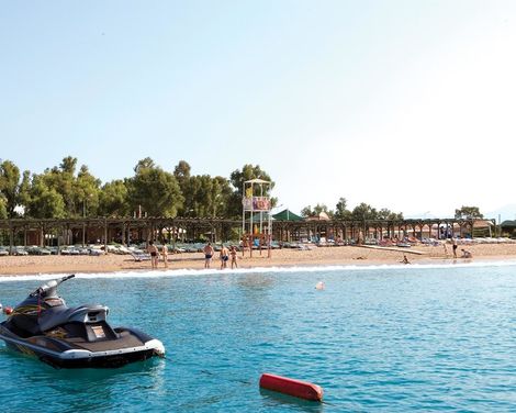 Marvida Family Eco-0