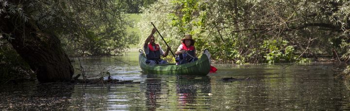 Ein See oder Fluss, umgeben von Bäumen und einem Boot.