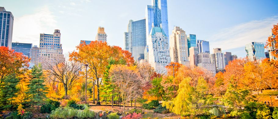 Städtereise: New York Eislaufbahn im Central Park vor Hochhäusern