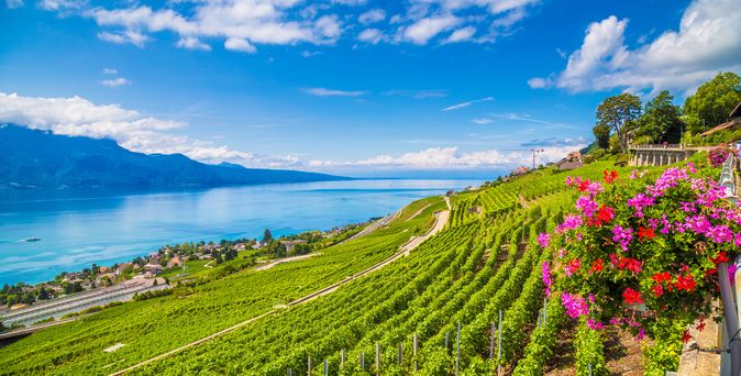 Blick bei strahlendem Himmel auf Weinhänge und den Genfersee. Einige Berge im Hintergrund.