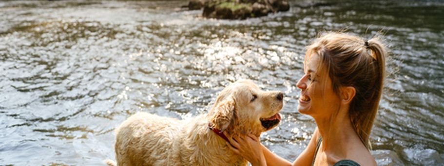 Ein Hund schwimmt im Wasser mit seinem Besitzer.
