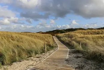 Dünen an der Nordsee