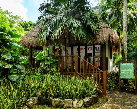 The Reef Playacar Beach Resort & Spa-4