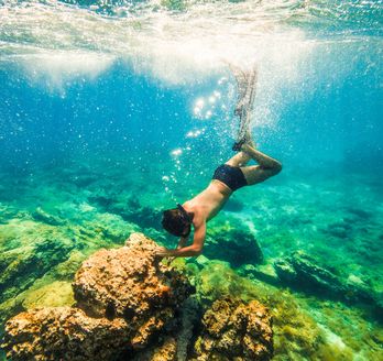 Ein Taucher unter Wasser mit Fischen.